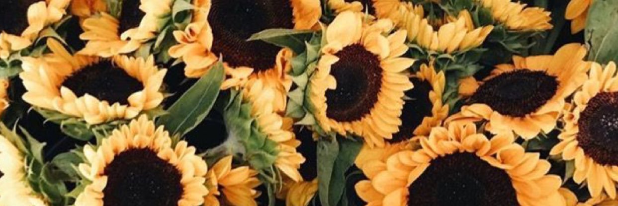 annaeshaw_'s profile banner image