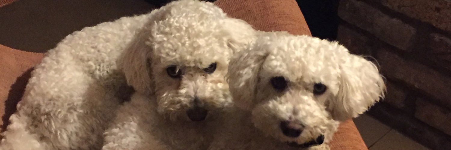 manwith3dogs's profile banner image