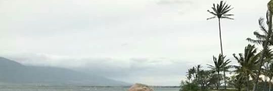 Arnewgardner's profile banner image