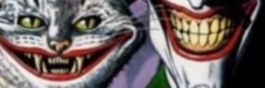 faliidra's profile banner image