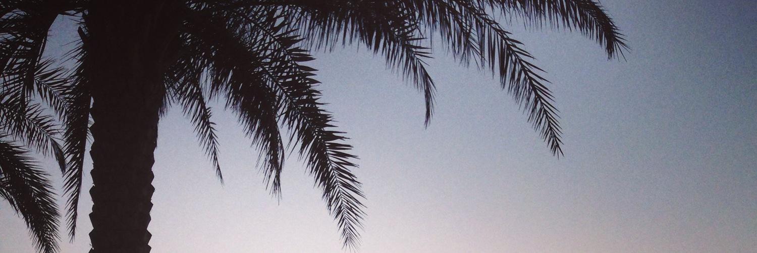 SaraCoops's profile banner image