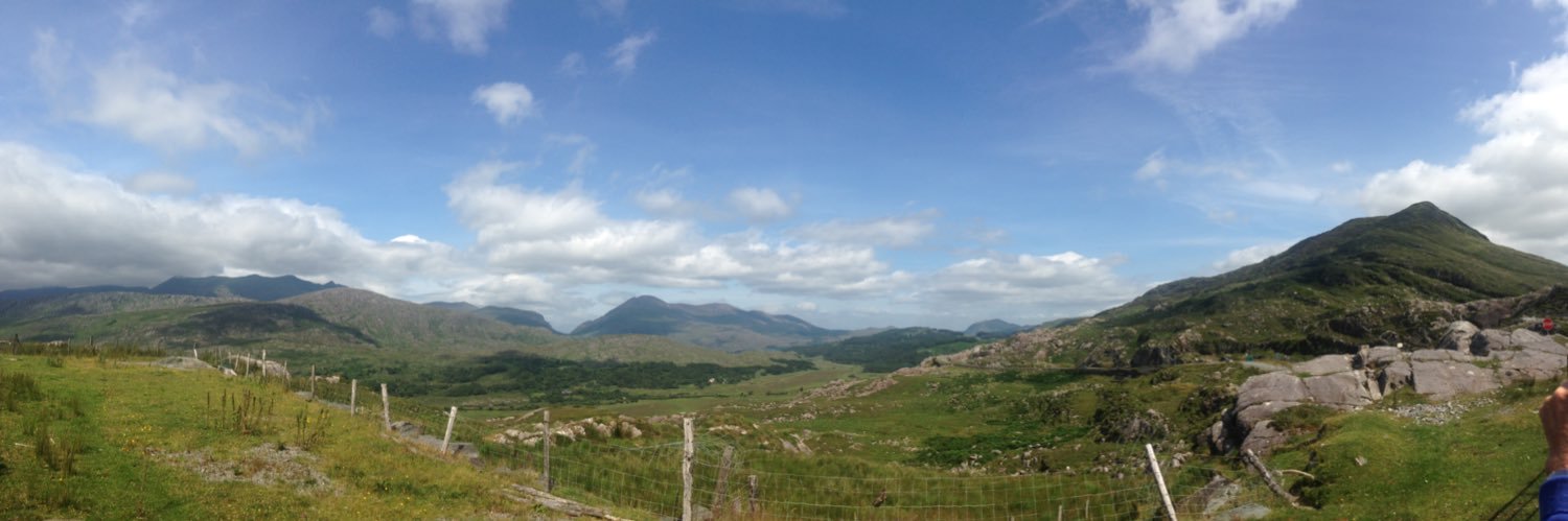 Chelsea Hamill banner