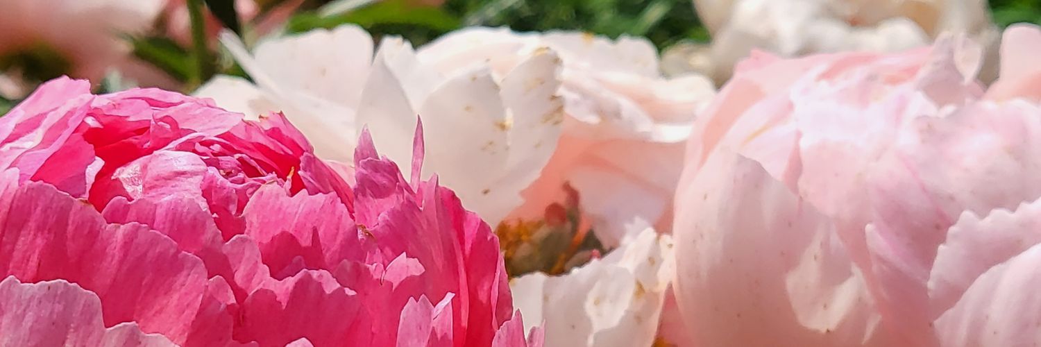 samcote00's profile banner image