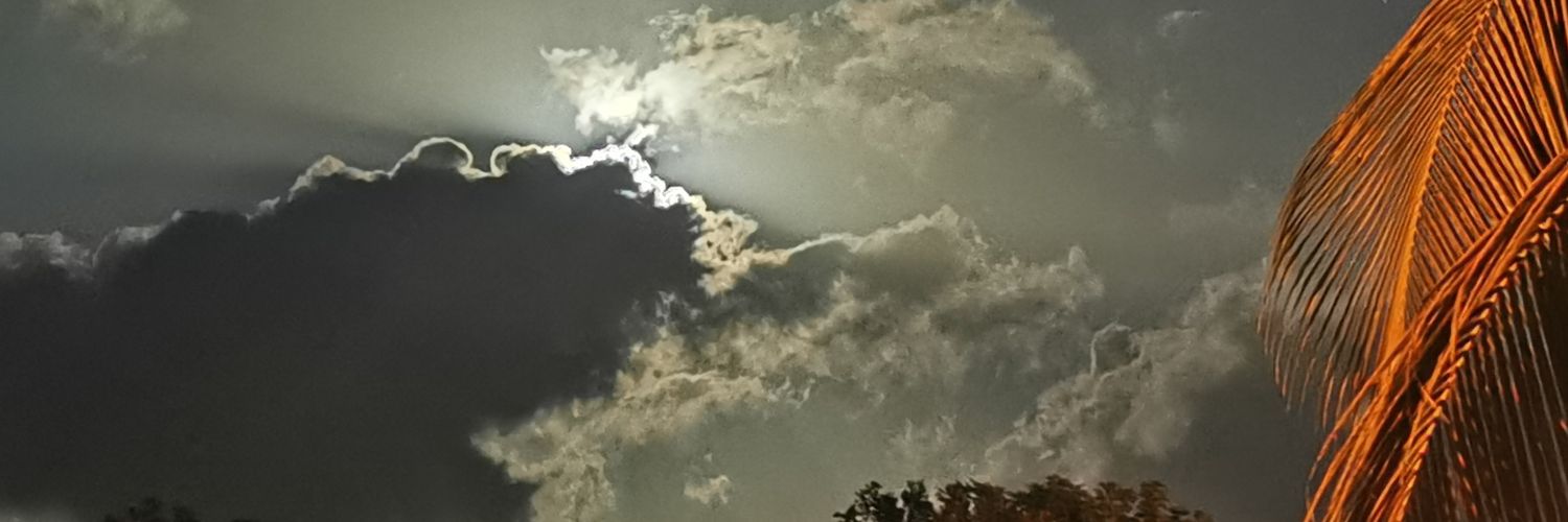 FherHN's profile banner image