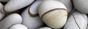BarneyStacher's profile banner image
