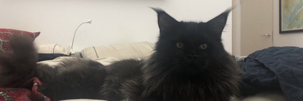 laurakjones11 Profile Banner