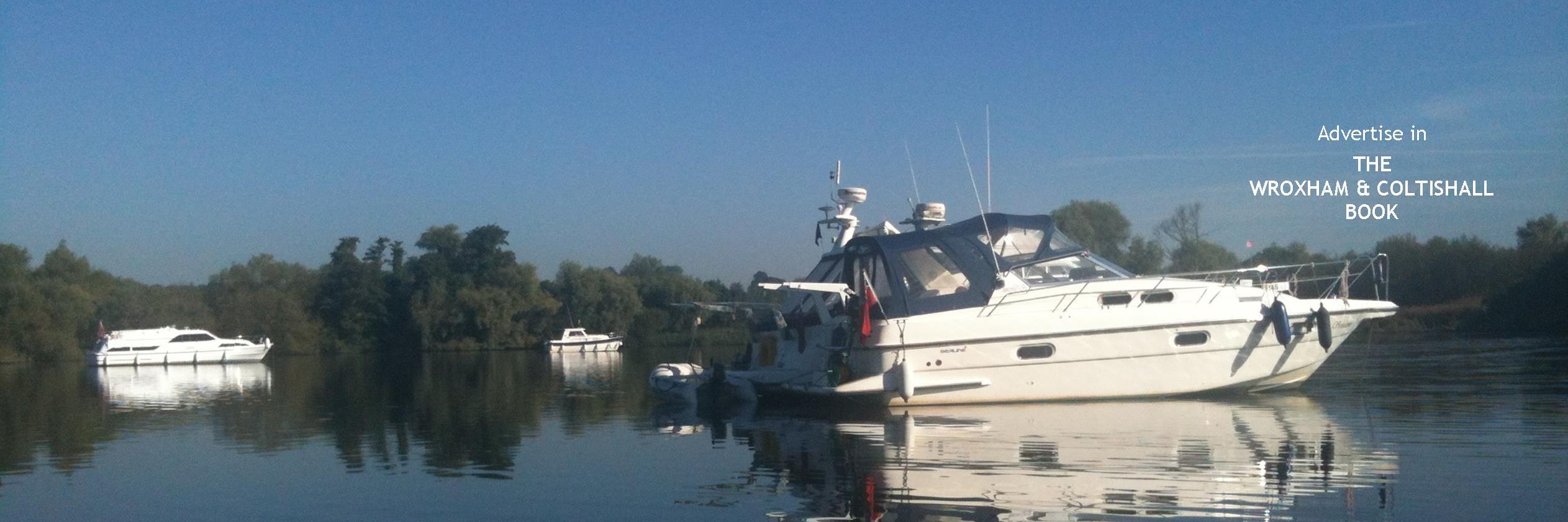 Tracey De-Abreu banner