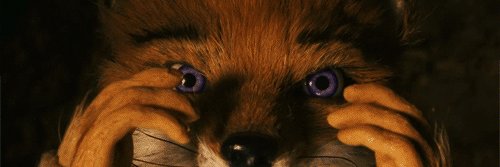 jackvolpi's profile banner image