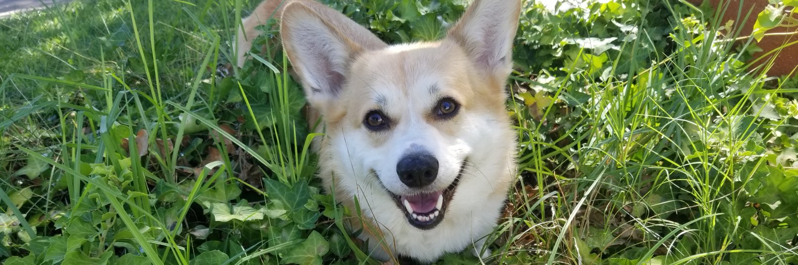 Mike - MarketTradersTV banner