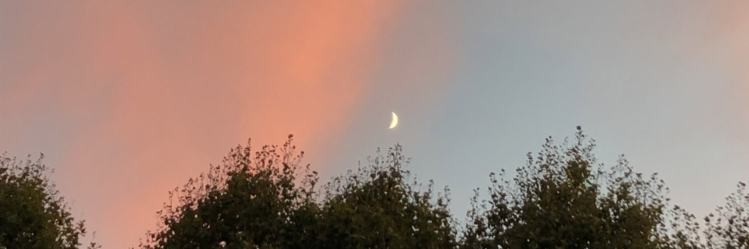 lpimentelc's profile banner image