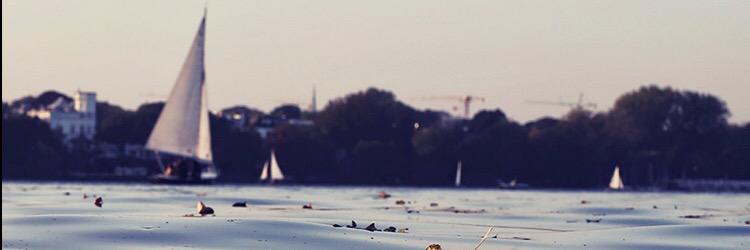 NRaush's profile banner image