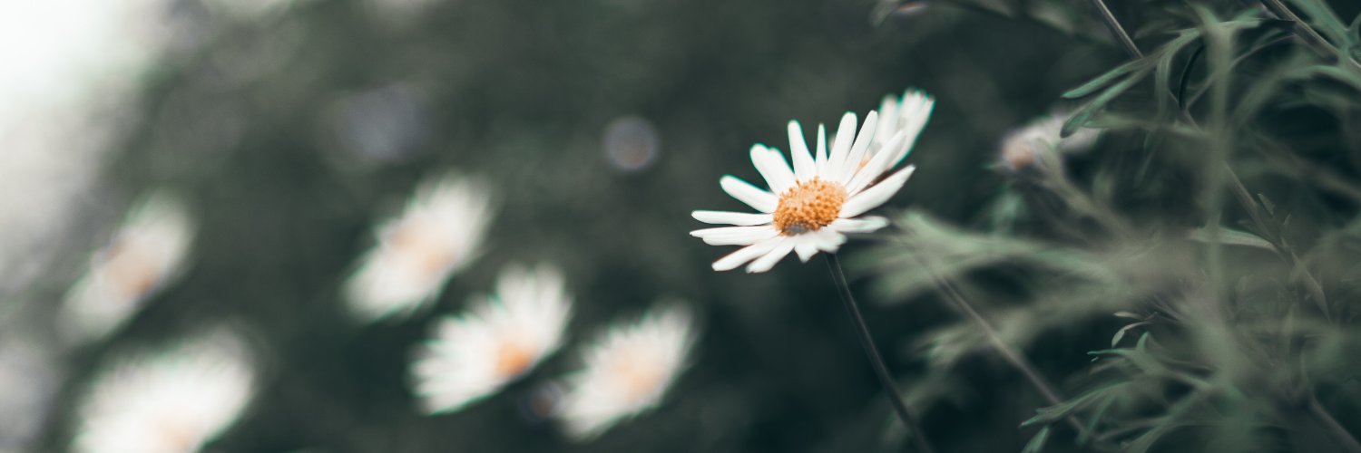 luhcifer's profile banner image