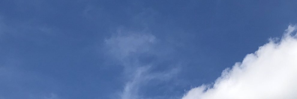 Davis4706's profile banner image