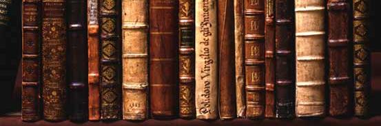 lauraneacsu's profile banner image
