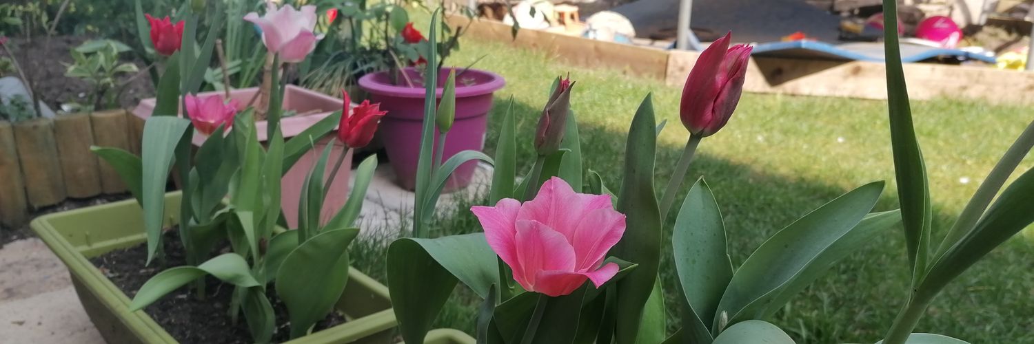 DebbFlowers's profile banner image