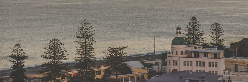 Napier City Council banner