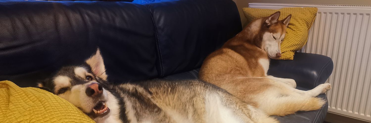 dressel's profile banner image