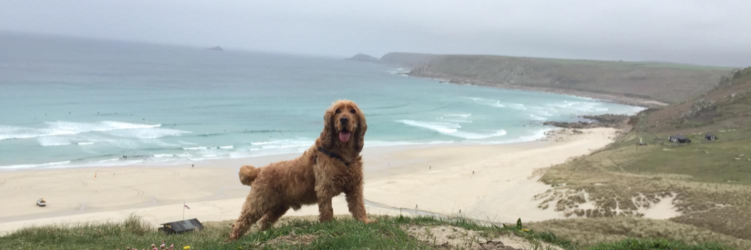 Robgibbon's profile banner image