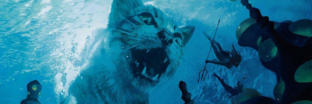 Uiberon's profile banner image