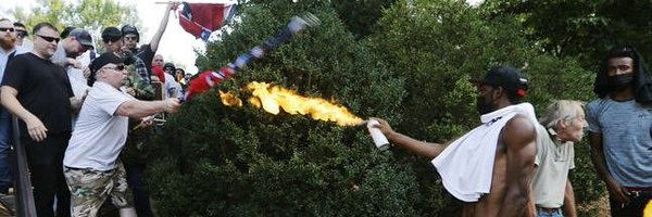 Paposaurus Profile Banner