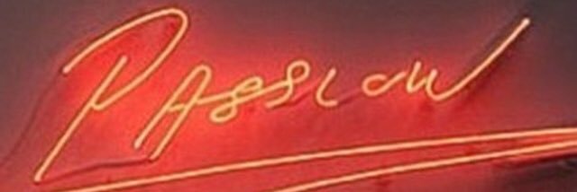 Pilar Castro banner