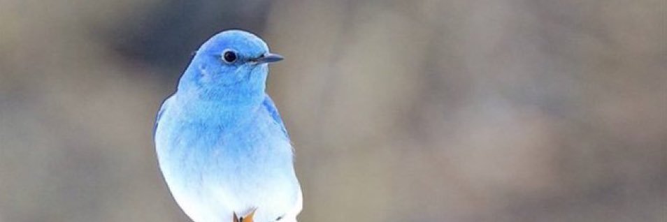 twathome's profile banner image