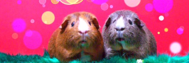 鬼女羅☆次は？ banner