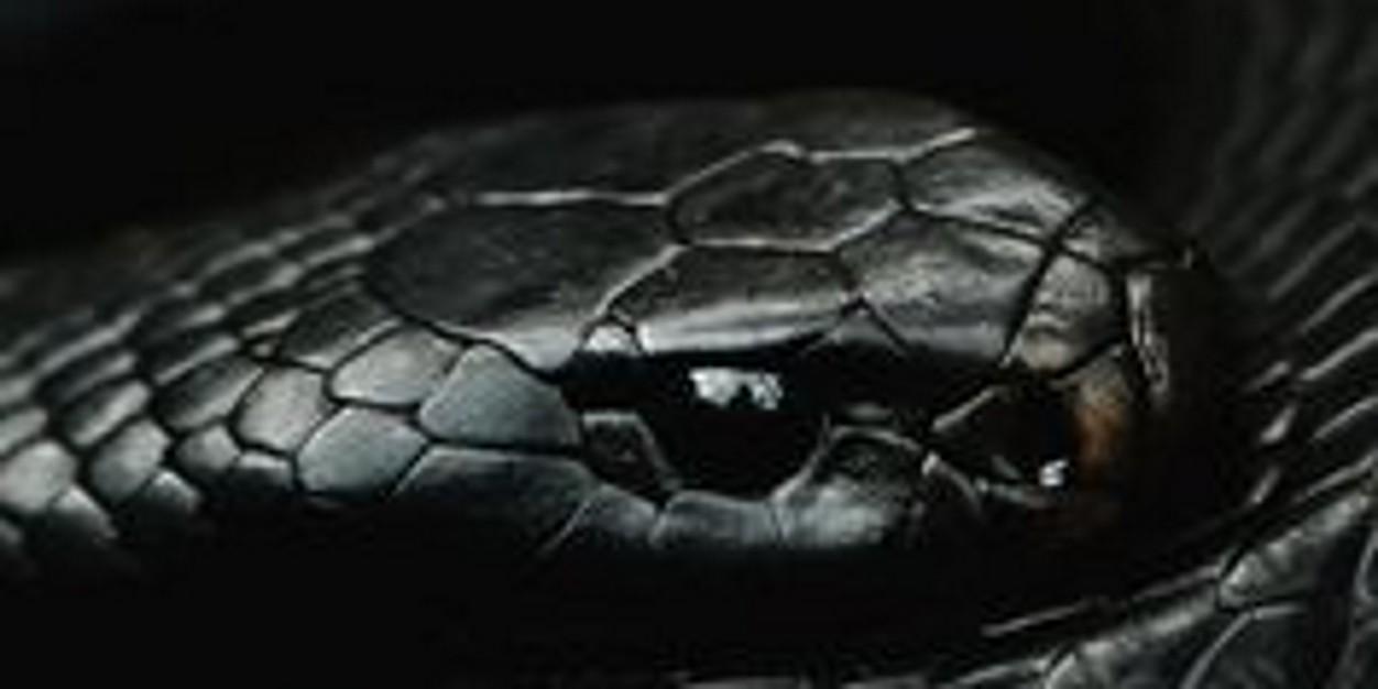 Bonnurs's profile banner image