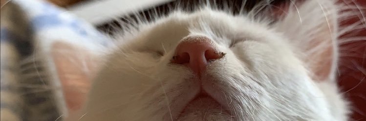 lizandra_rm's profile banner image