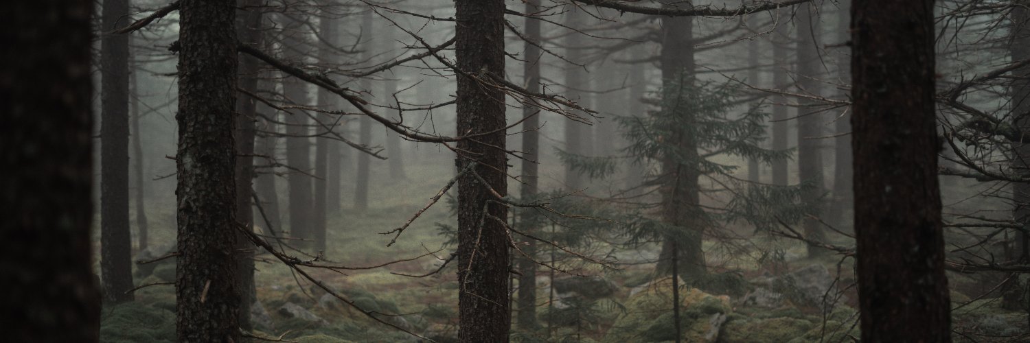 SamuelBrobert's profile banner image