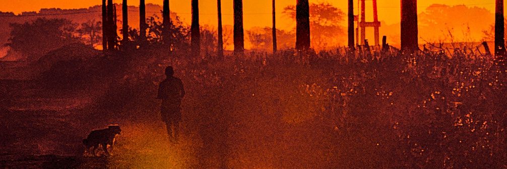 Mario León Rojas banner