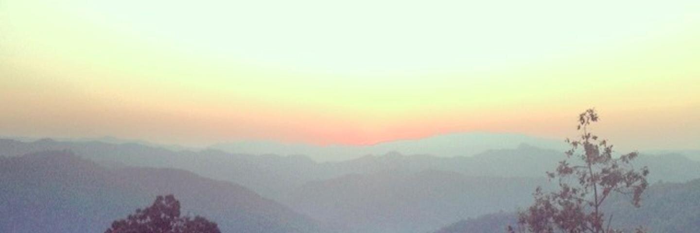 Petras Kudaras banner