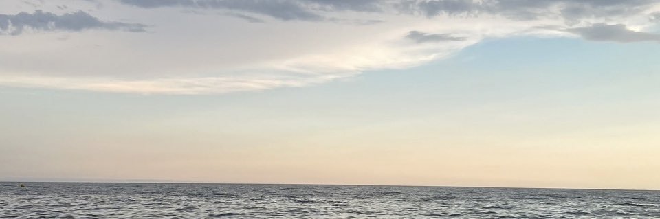 Sandra Igelka banner