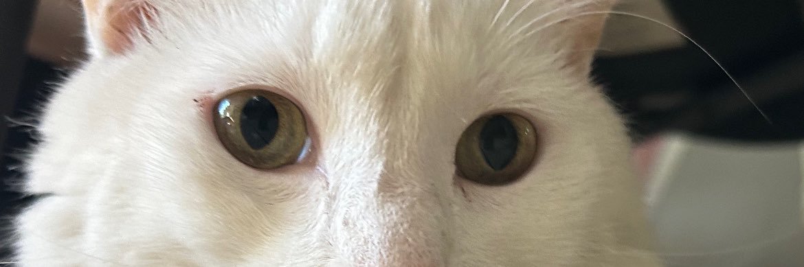 tatiana tobar banner