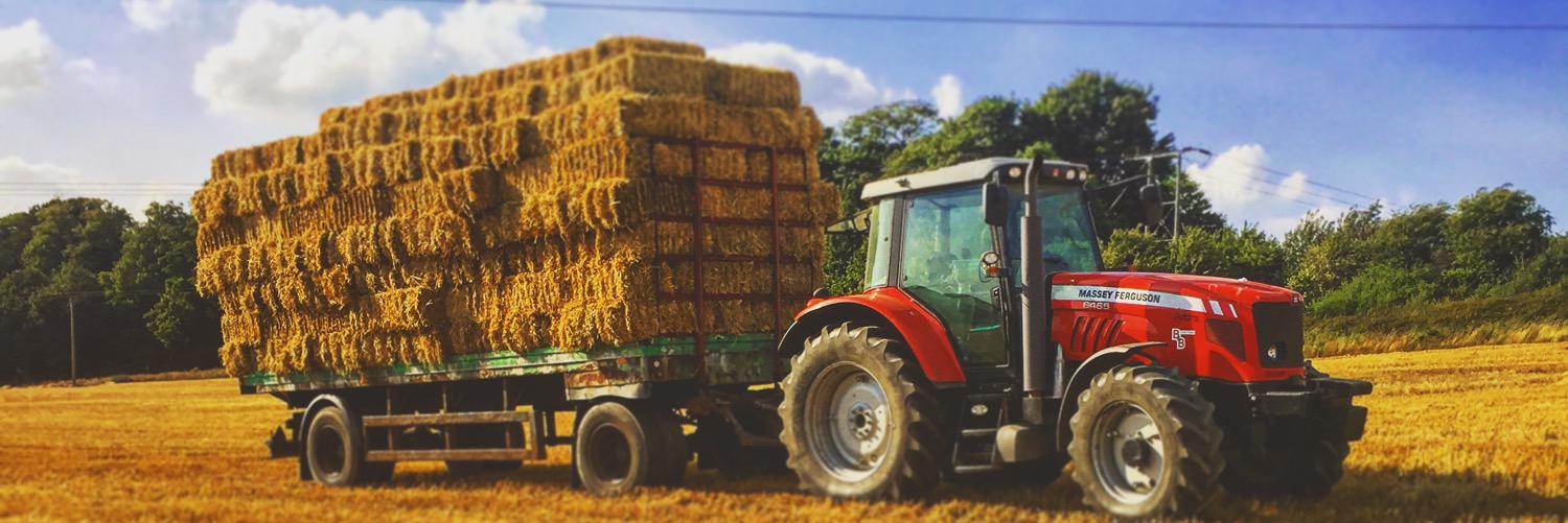 Nick  Grayson banner