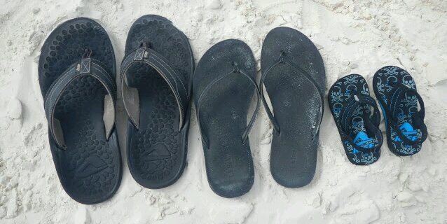 Elizabeth Pinkney banner