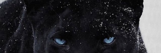 damm_maa's profile banner image