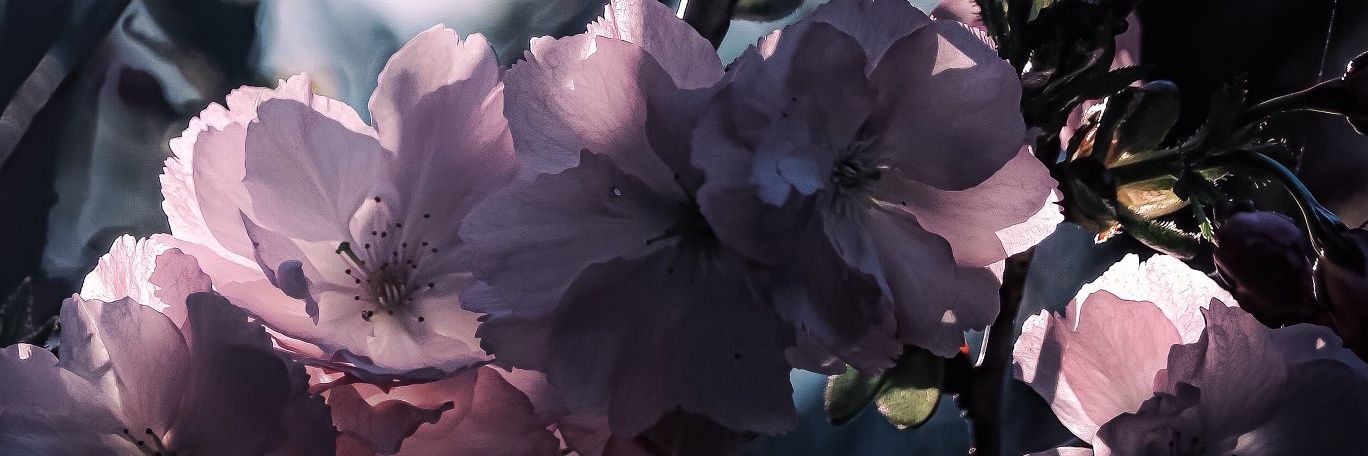 riry2119's profile banner image
