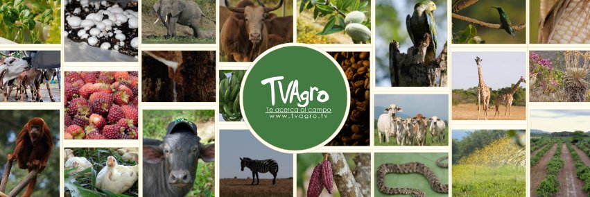 Canal Tv Agro banner