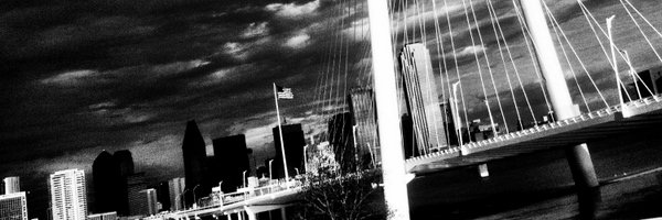 tstein7240 Profile Banner