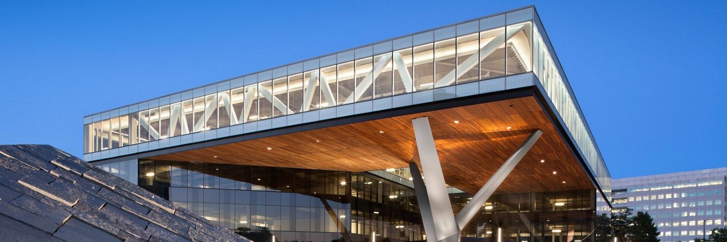 Stern Strategy Group banner