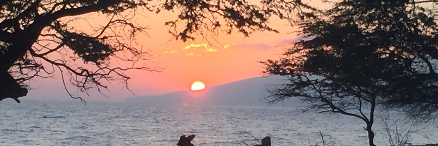 jsilv1's profile banner image