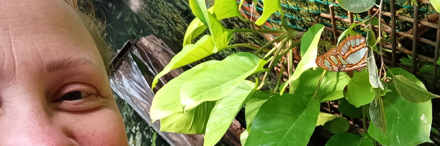 daisyeater's profile banner image