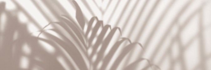 dannieviillo's profile banner image