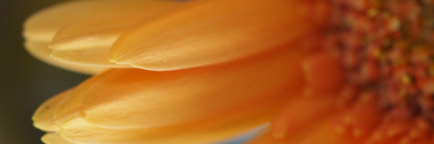 bigflowely138's profile banner image