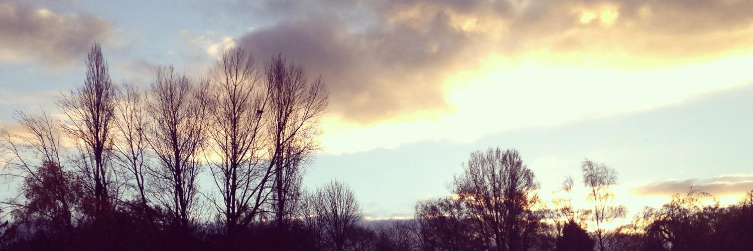 Lo_walsh's profile banner image