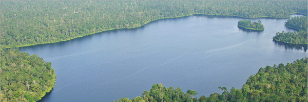 juliemulonga Profile Banner