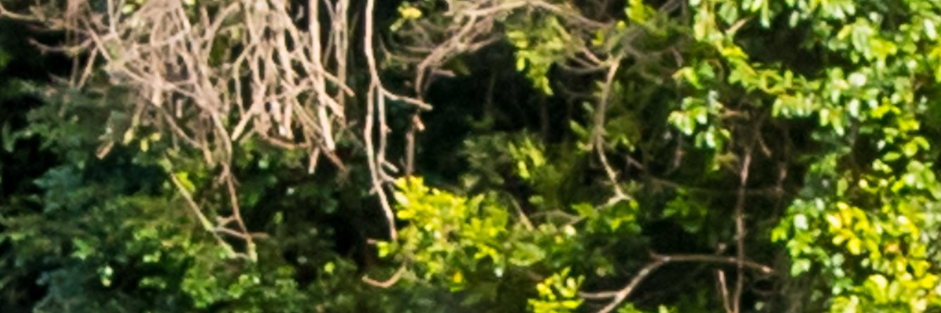 jpdw7's profile banner image