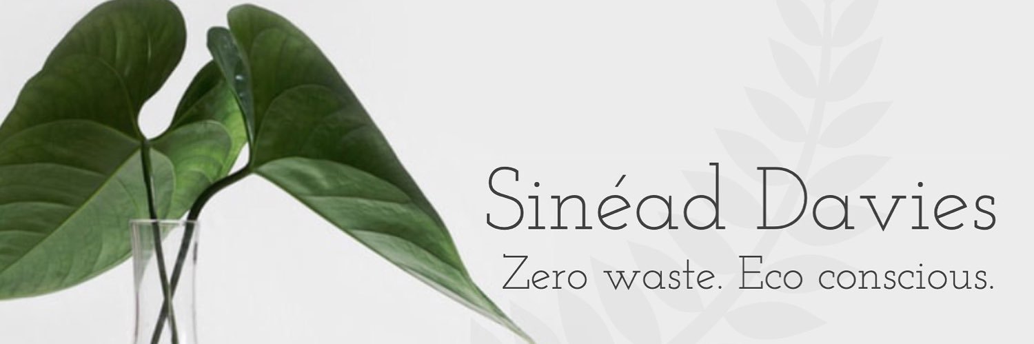 Sustainably Sinead banner