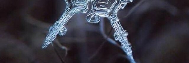 fueradebasetv's profile banner image